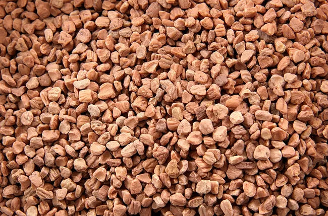 Biogramasa, pallet da 77 sacchi di nocciolino di oliva da 15 kg